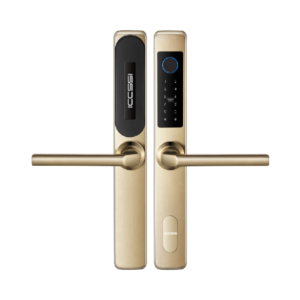 L60 Smart Lock