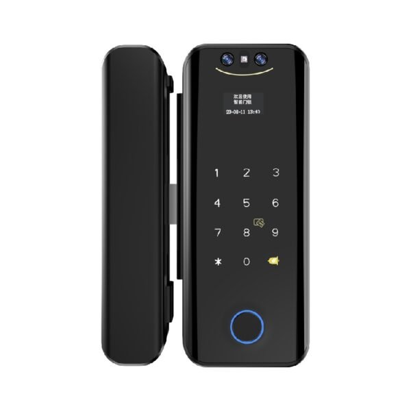Smart Glass Door Lock