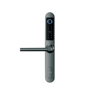 L10-Pro Smart Lock